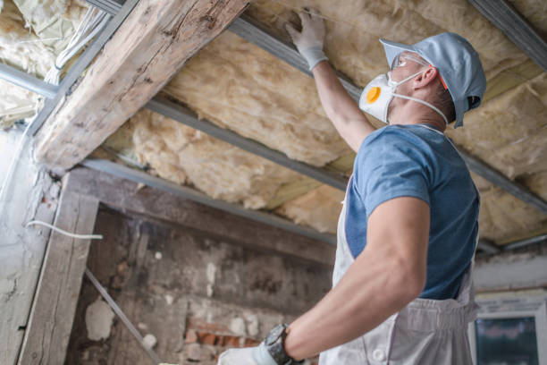 Best Commercial Insulation in Cottonwood, AZ
